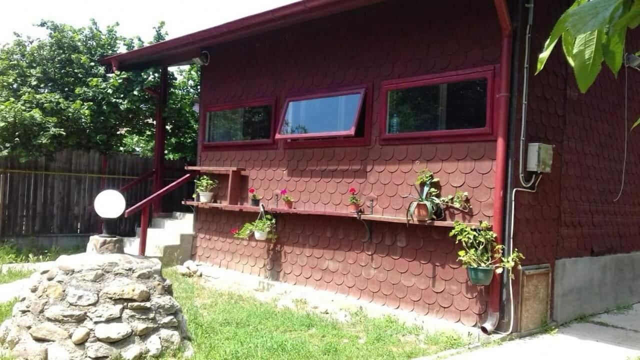 Sărata-Monteoru Canadian House מראה חיצוני תמונה